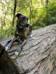 She loves to be out in nature where there she can escape the city sounds.
