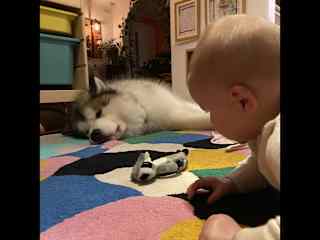 Playroom hangs