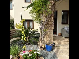 Courtyard front garden area