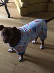 Not sure about his onesie! But loves to be warm! Not a winter doggie!