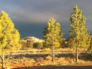 Looking west from the house.