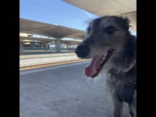 Waiting for our train!