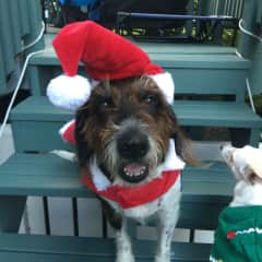 The cutest Santa
