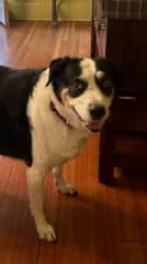 Maya saying hi