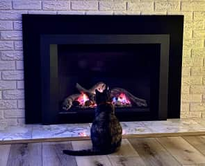 This is her favourite winter pastime. The fireplace is on a thermostat but she's sure she can will it to come on by staring at it :-)