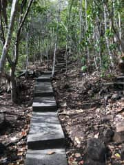 if you want to walk you can take a shortcut through our woods to the road below