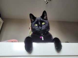 I’m soooo cute!