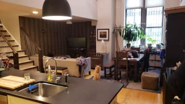 Great room (living / dining / kitchen) complete with great dog!