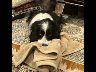 Nookie time with ‘his’ blanket