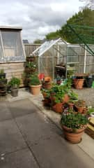 Patio and greenhouse