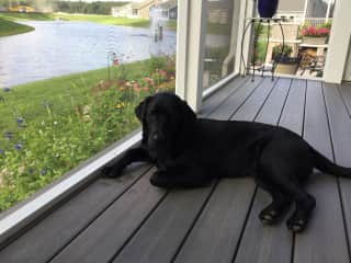 Enjoying our screened porch