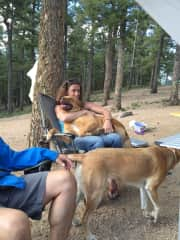 Camping with the pups