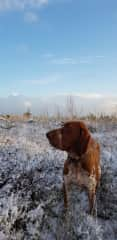 In the snow on Moel Famau