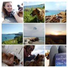 House sit in Crete April 2019, road trips and hugs with Babis.