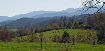 View off rear deck.