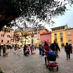 Beautiful Piazza Obelisco, Tagliacozzo. Reachable via walk down through ancient streets or through woods with waterfalls. The walk back up takes some energy and steps but is wonderful! Also drivable if you prefer.