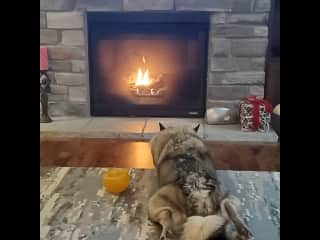 Wintertime she loves the gas fireplace.