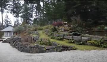 The pond and front gardens.