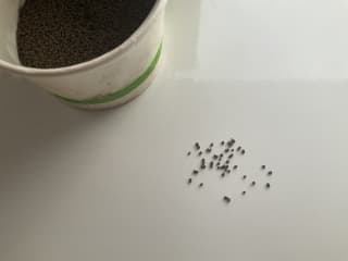 This is the dry food pellets. Only about this amount is needed per feeding session once every day or every other day.