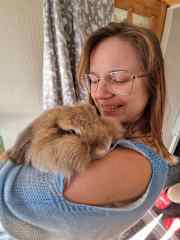One of our furrybabies, currently being looked after by friedns - Lupin is the fluff king!