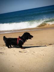 My beach Portrait