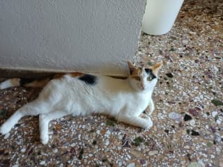 I like to be inside while my food is being prepared so I can supervise.