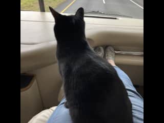 On an RV trip and helping to navigate.