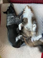 Hemlock and Cole - yup, you'll see this a lot!