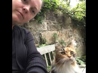 Cat sitting in Scotland