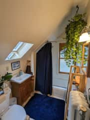 The bathroom and skylight.