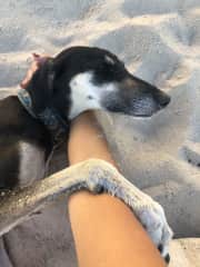 My favorite photo with Reesha, who sadly passed away in March 2020 :(