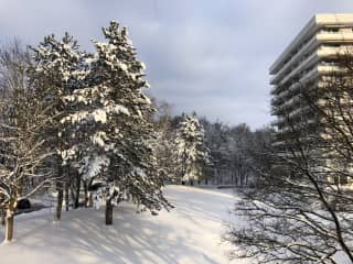 View from the kitchen (January 2019)