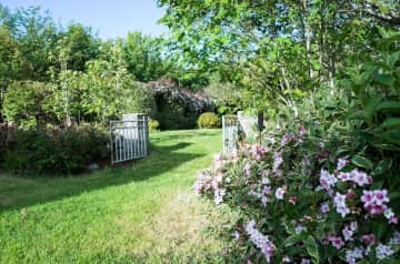 A snippet of the garden.