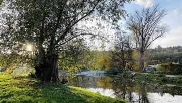 River behind our house