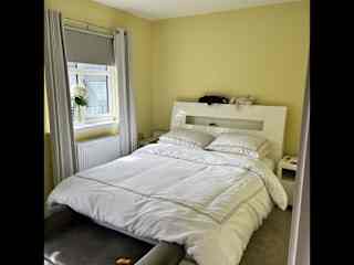 Reading light in the back of the bed. It's a very calm bedroom.