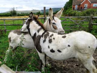 Alan taking care of Hazel