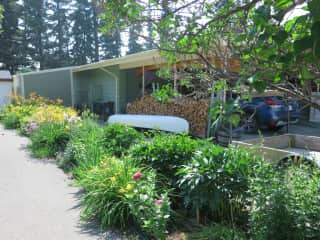 Flower bed in our side yard.