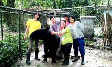 Volunteering at zoo negara, malaysia