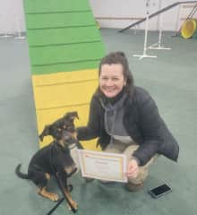 Clover has completed multiple advanced obedience and agility classes.  She's exuberant, but she knows how to behave!