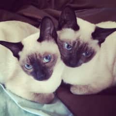 We love each other.