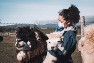 I work in a multidisciplinary laboratory, where caring for alpacas is also part of the job.