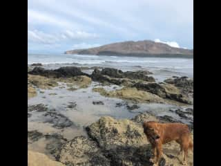 She loves to get in the water.