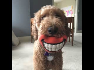 Sharing a squeaky smile!