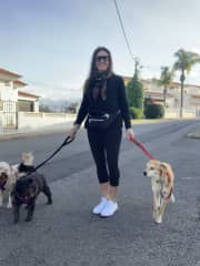 Pet sitting in Ferragudo Portugal