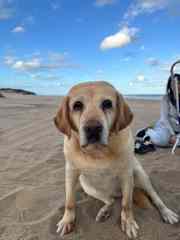 La gordi en la playa