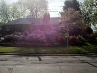 Front Yard View