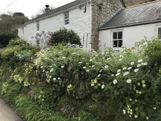 Front view of cottage - guest room is in the single story annexe.