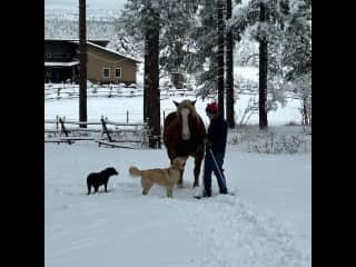 Mark with Kate and dogs first snow. House in background