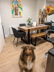 The dining area with your new fluffy pal!