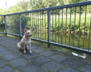 Enjoying the canal